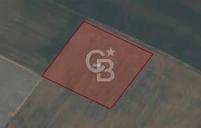 CB AMBIANCE'DAN BANDIRMA/DOĞRUCA'DA 5.386 M2 SATILIK TARLA