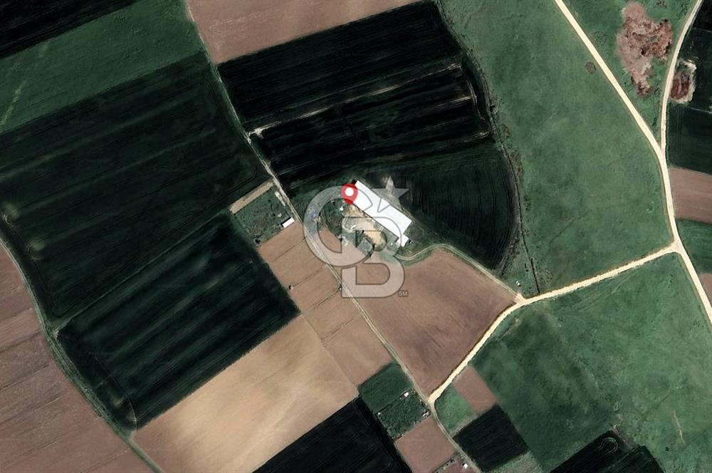 CB AMBIANCE'DAN BANDIRMA/DOĞRUCA'DA 20 DÖNÜM SATILIK ÇİFTLİK