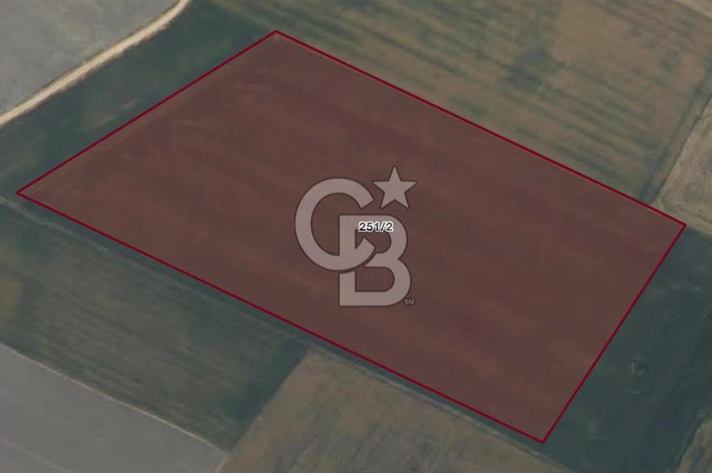 CB AMBIANCE'DAN BANDIRMA/DOĞRUCA'DA 40.669 M2 SATILIK TARLA