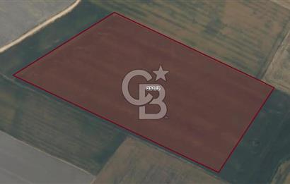 CB AMBIANCE'DAN BANDIRMA/DOĞRUCA'DA 40.669 M2 SATILIK TARLA