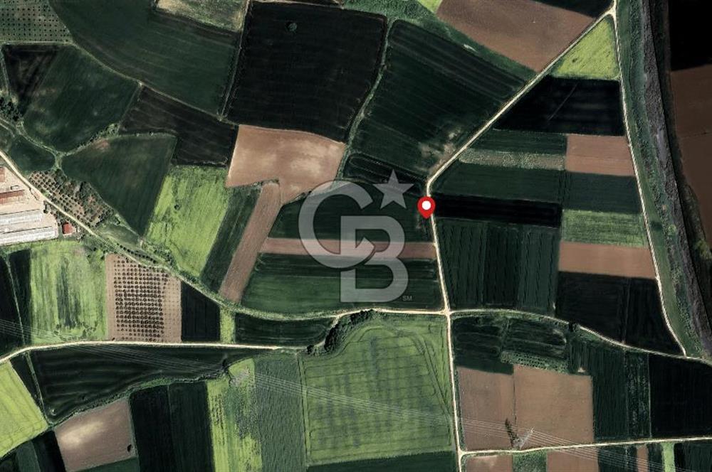 CB AMBIANCE'DAN BANDIRMA/DOĞRUCA'DA 20.138 M2 SATILIK TARLA