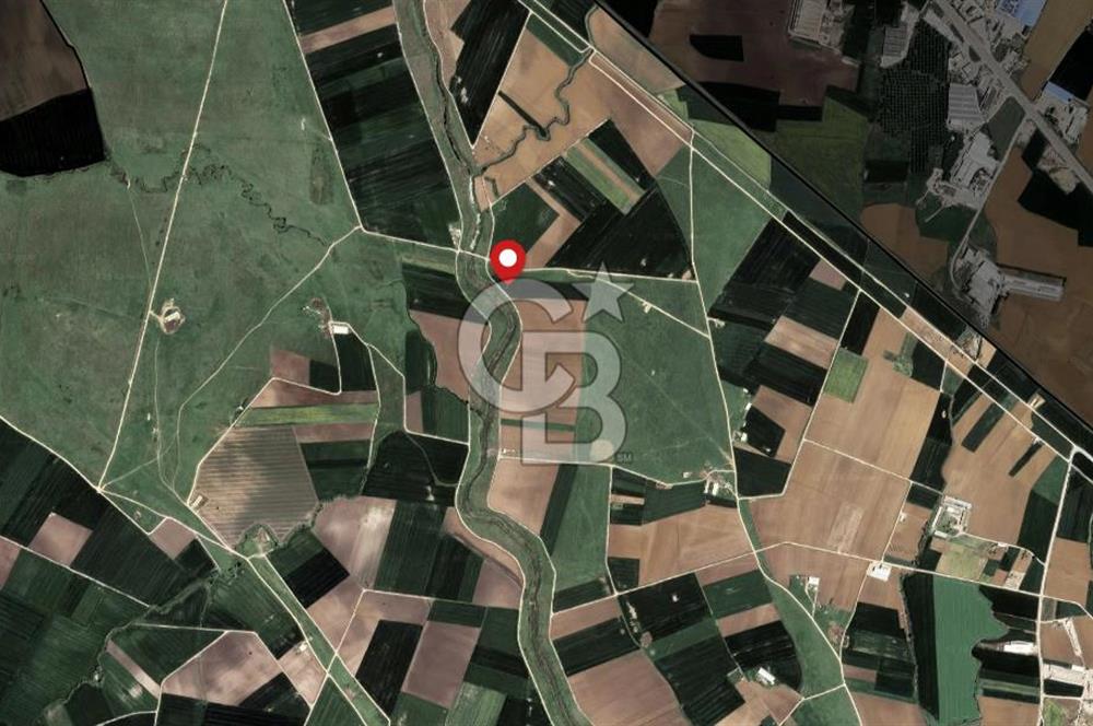CB AMBIANCE'DAN BANDIRMA/DOĞRUCA'DA 10.534 M2 SATILIK TARLA