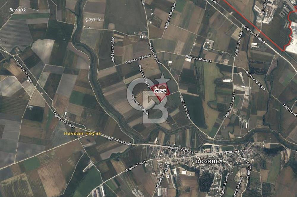 CB AMBIANCE'DAN BANDIRMA/DOĞRUCA'DA 20 DÖNÜM SATILIK ÇİFTLİK