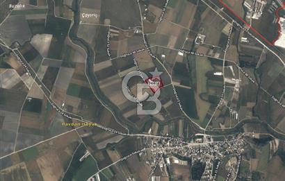 CB AMBIANCE'DAN BANDIRMA/DOĞRUCA'DA 20 DÖNÜM SATILIK ÇİFTLİK