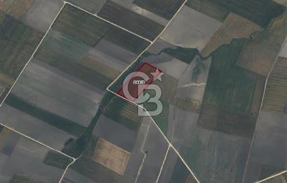 CB AMBIANCE'DAN BANDIRMA/DOĞRUCA'DA 20.138 M2 SATILIK TARLA