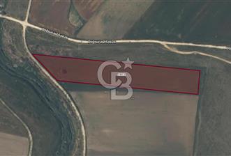 CB AMBIANCE'DAN BANDIRMA/DOĞRUCA'DA 10.534 M2 SATILIK TARLA - 6 - 339388