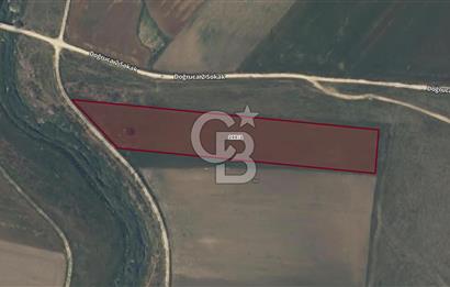 CB AMBIANCE'DAN BANDIRMA/DOĞRUCA'DA 10.534 M2 SATILIK TARLA