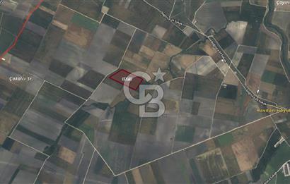 CB AMBIANCE'DAN BANDIRMA/DOĞRUCA'DA 40.669 M2 SATILIK TARLA