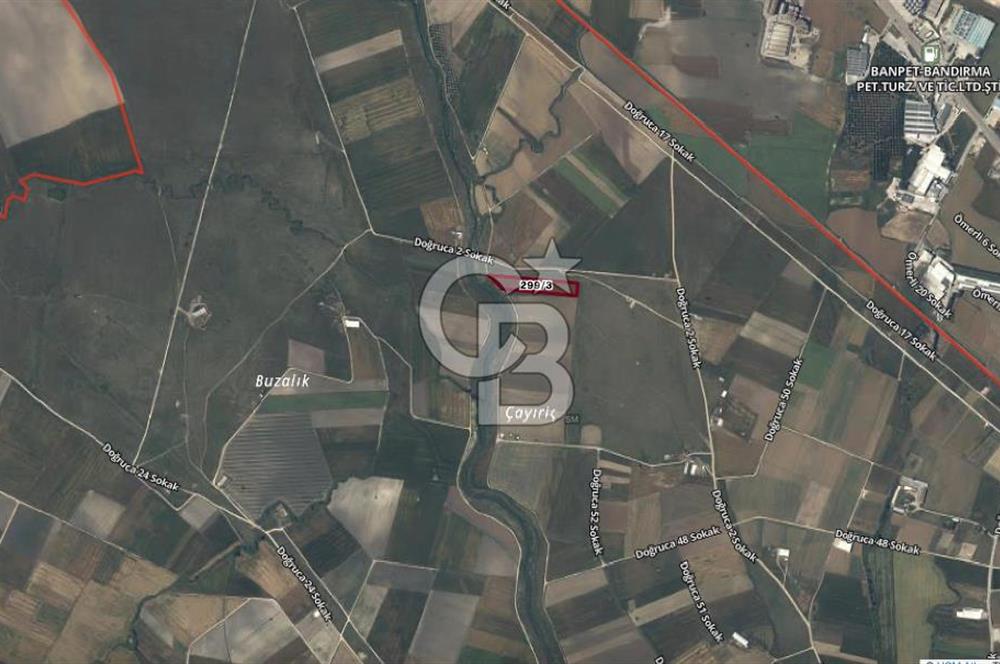 CB AMBIANCE'DAN BANDIRMA/DOĞRUCA'DA 10.534 M2 SATILIK TARLA
