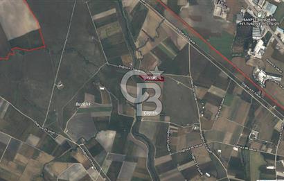 CB AMBIANCE'DAN BANDIRMA/DOĞRUCA'DA 10.534 M2 SATILIK TARLA