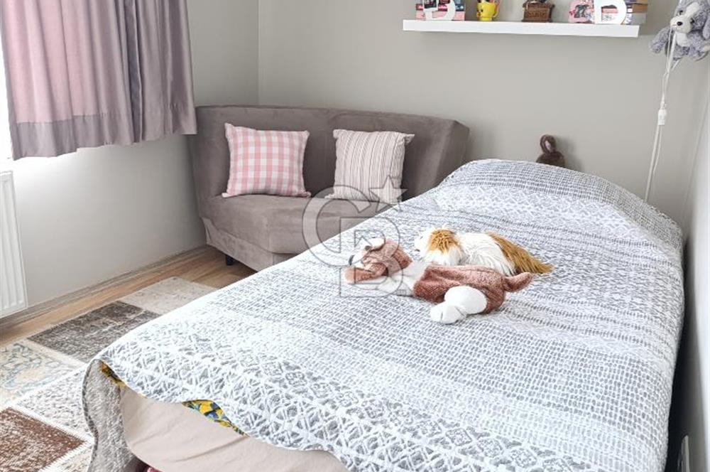 Kayık sokak seranbağları satılık 