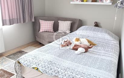 Kayık sokak seranbağları satılık 