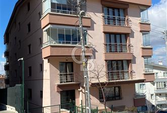 Kayık sokak seranbağları satılık  - 1 - 339473