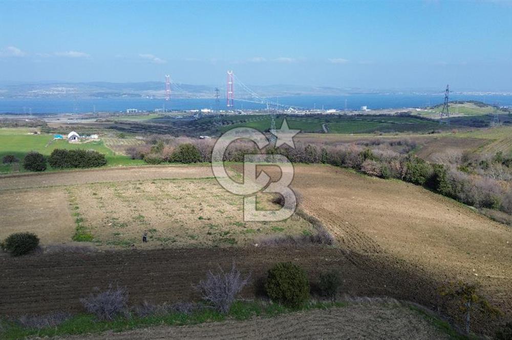 Lapseki Kocaveli'de Boğaz Manzaralı 9.650m² Satılık Arazi