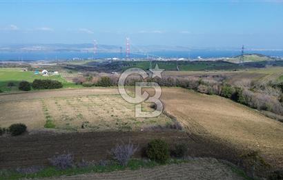 Lapseki Kocaveli'de Boğaz Manzaralı 9.650m² Satılık Arazi