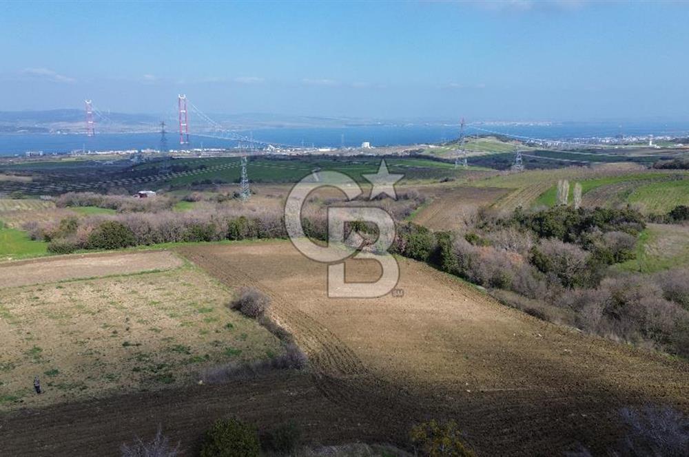 Lapseki Kocaveli'de Boğaz Manzaralı 9.650m² Satılık Arazi