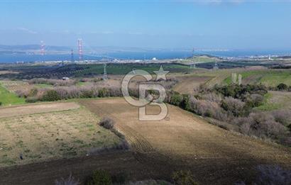 Lapseki Kocaveli'de Boğaz Manzaralı 9.650m² Satılık Arazi