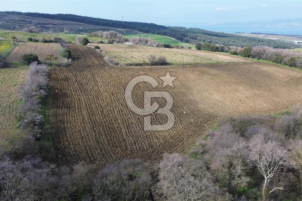 Lapseki Kocaveli'de Boğaz Manzaralı 9.650m² Satılık Arazi