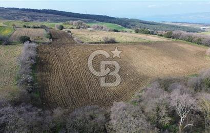 Lapseki Kocaveli'de Boğaz Manzaralı 9.650m² Satılık Arazi