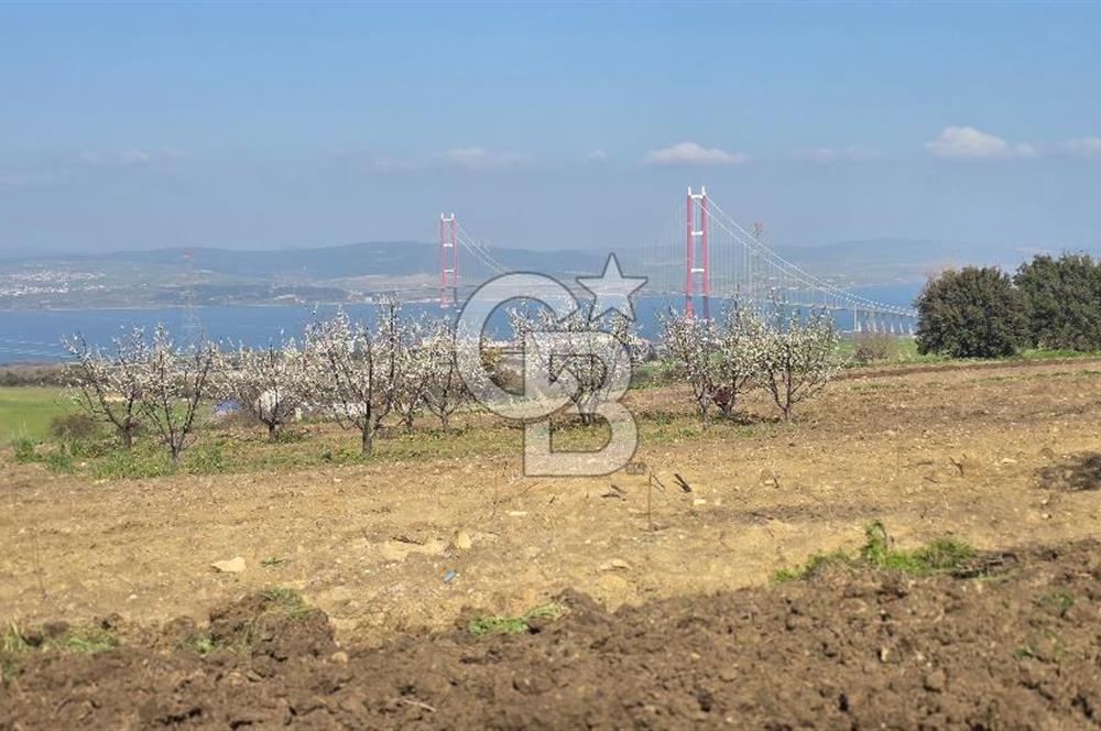 Lapseki Kocaveli'de Boğaz Manzaralı 9.650m² Satılık Arazi