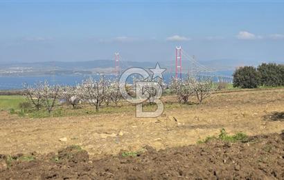 Lapseki Kocaveli'de Boğaz Manzaralı 9.650m² Satılık Arazi
