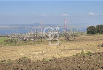 Lapseki Kocaveli'de Boğaz Manzaralı 9.650m² Satılık Arazi - 2 - 339433