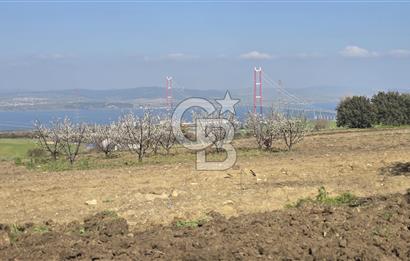 Lapseki Kocaveli'de Boğaz Manzaralı 9.650m² Satılık Arazi