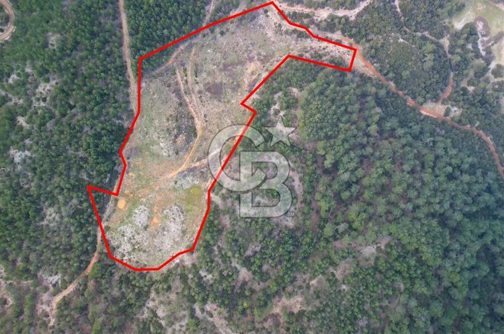 Muğla Ula Gölcük’te Satilik Tarla