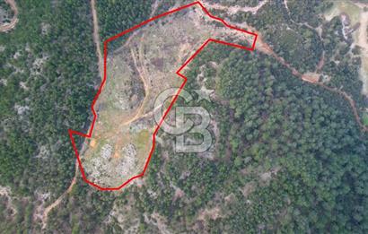 Muğla Ula Gölcük’te Satilik Tarla