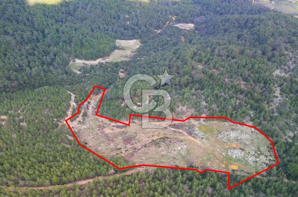 Muğla Ula Gölcük’te Satilik Tarla