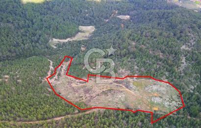 Muğla Ula Gölcük’te Satilik Tarla