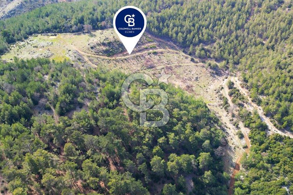 Muğla Ula Gölcük’te Satilik Tarla