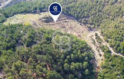 Muğla Ula Gölcük’te Satilik Tarla