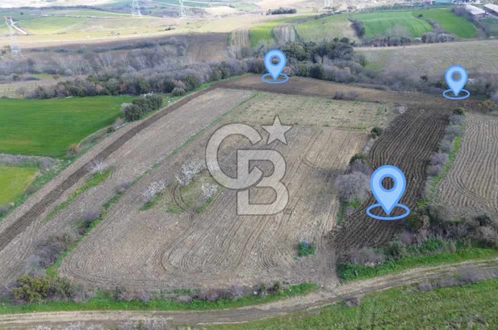 Lapseki Kocaveli'de Boğaz Manzaralı 9.650m² Satılık Arazi