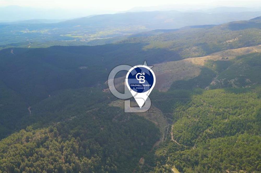 Muğla Ula Gölcük’te Satilik Tarla