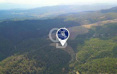 Muğla Ula Gölcük’te Satilik Tarla