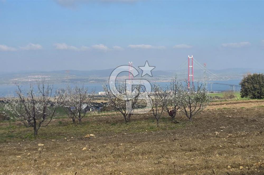 Lapseki Kocaveli'de Boğaz Manzaralı 9.650m² Satılık Arazi