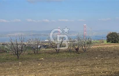 Lapseki Kocaveli'de Boğaz Manzaralı 9.650m² Satılık Arazi