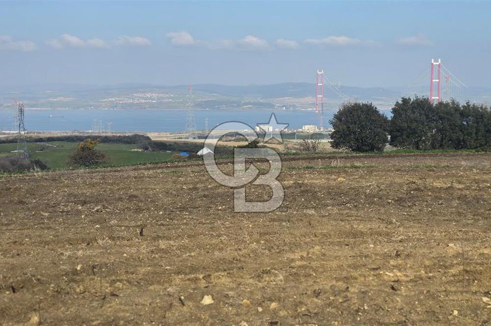 Lapseki Kocaveli'de Boğaz Manzaralı 9.650m² Satılık Arazi