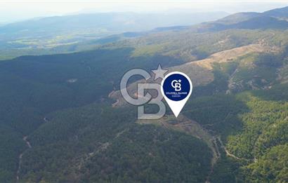 Muğla Ula Gölcük’te Satilik Tarla