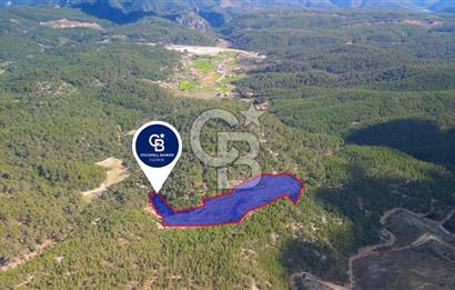 Muğla Ula Gölcük’te Satilik Tarla