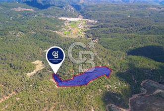 Muğla Ula Gölcük’te Satilik Tarla - 1 - 339440