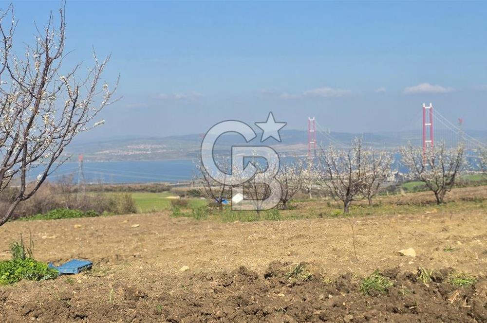 Lapseki Kocaveli'de Boğaz Manzaralı 9.650m² Satılık Arazi