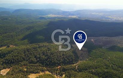 Muğla Ula Gölcük’te Satilik Tarla