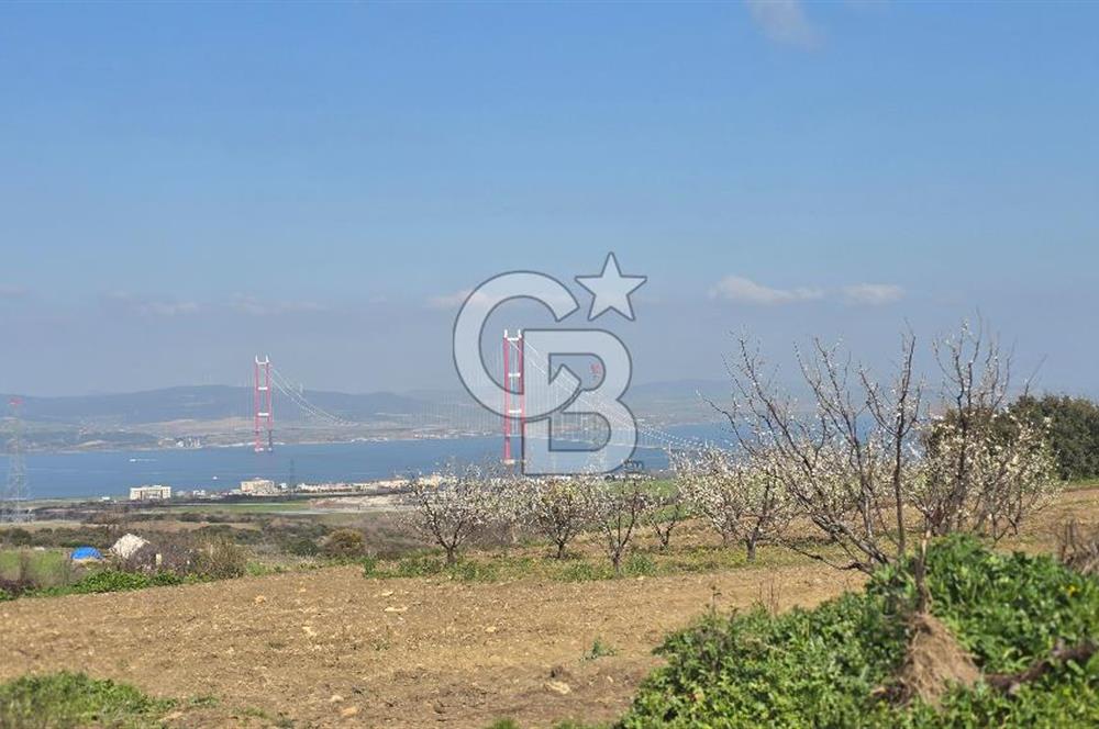 Lapseki Kocaveli'de Boğaz Manzaralı 9.650m² Satılık Arazi