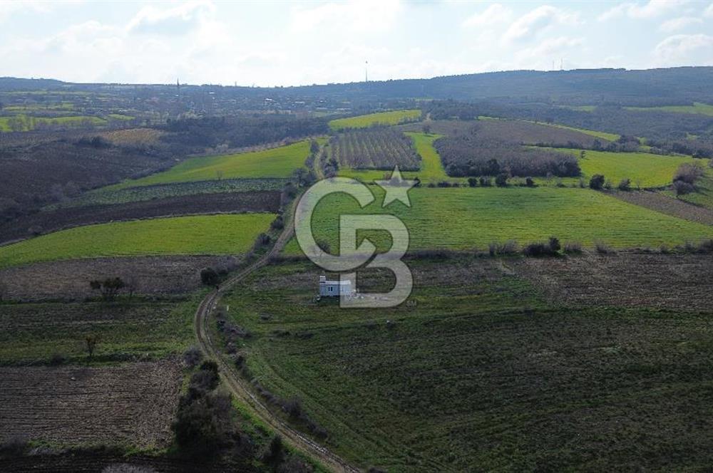 Lapseki Kocaveli'de Boğaz Manzaralı 9.650m² Satılık Arazi