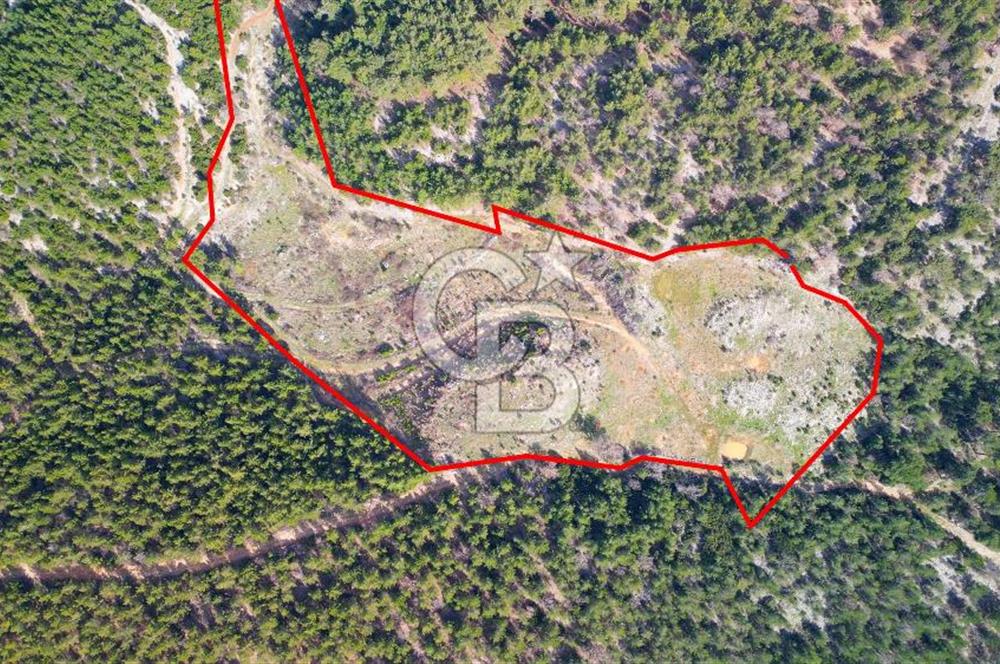 Muğla Ula Gölcük’te Satilik Tarla