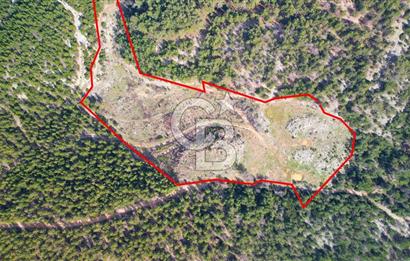 Muğla Ula Gölcük’te Satilik Tarla