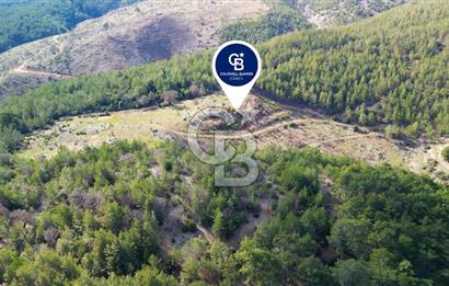 Muğla Ula Gölcük’te Satilik Tarla