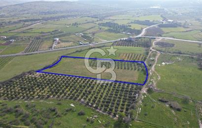 ALİAĞA ÇITAK'TA CB İYA'DAN SATILIK TARLA